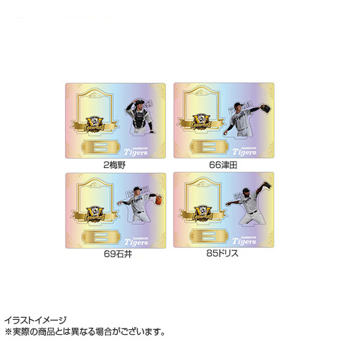 B_受注】【T-SHOP限定】2025 JERA セ・リーグ優勝記念 オーロラ