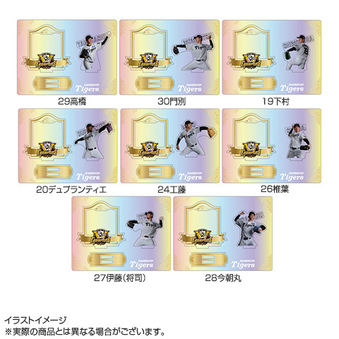 B_受注】【T-SHOP限定】2025 JERA セ・リーグ優勝記念 オーロラ