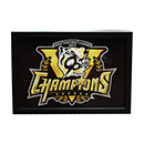 【B_受注】【T-SHOP限定】2025 JERA セ・リーグ優勝記念 光るアートボード 優勝ロゴ★受注生産品★