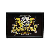 【B_受注】【T-SHOP限定】2025 JERA セ・リーグ優勝記念 光るアートボード 優勝ロゴ★受注生産品★