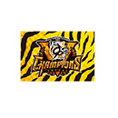 【B_受注】【T-SHOP限定】2025 JERA セ・リーグ優勝記念 長方形缶バッジ★受注生産品★