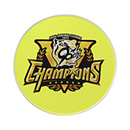 【B_受注】【T-SHOP限定】2025 JERA セ・リーグ優勝記念 アクリルコースター（イエロー）★受注生産品★