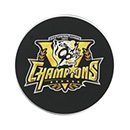 【B_受注】【T-SHOP限定】2025 JERA セ・リーグ優勝記念 アクリルコースター（ブラック）★受注生産品★