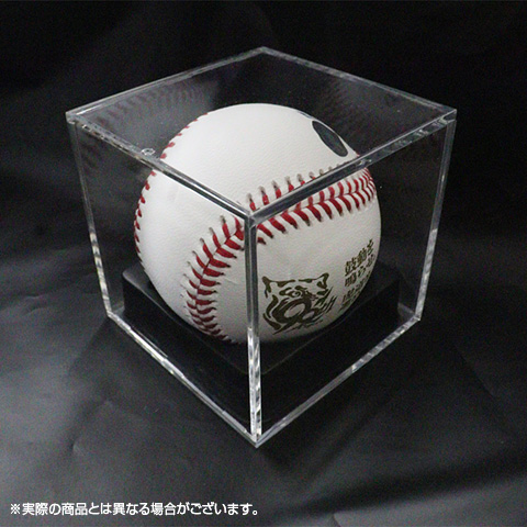 Jリーグ　公式球　限定品 jリーグ公式球のおすすめ人気商品一覧 通販 - Yahoo!ショッピング