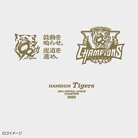 2025合格目標 LEC 7 summits セット セブンサミット 2025合格目標 LEC 7 summits セット セブンサミット 2025合格