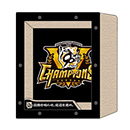 【B_受注】【T-SHOP限定】2025 JERA セ・リーグ優勝記念 猫ちゃん爪とぎ（ボックス）★受注生産品★