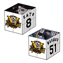 【B_受注】【T-SHOP限定】2025 JERA セ・リーグ優勝記念 立体パズル2列★受注生産品★