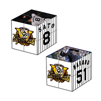 【B_受注】【T-SHOP限定】2025 JERA セ・リーグ優勝記念 立体パズル2列★受注生産品★