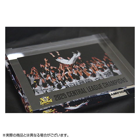 スプリングボクス 優勝記念グッズ 観戦・応援グッズ | 2025 JERA セントラル・リーグ 優勝記念
