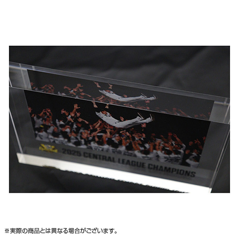 スプリングボクス 優勝記念グッズ 観戦・応援グッズ | 2025 JERA セントラル・リーグ 優勝記念