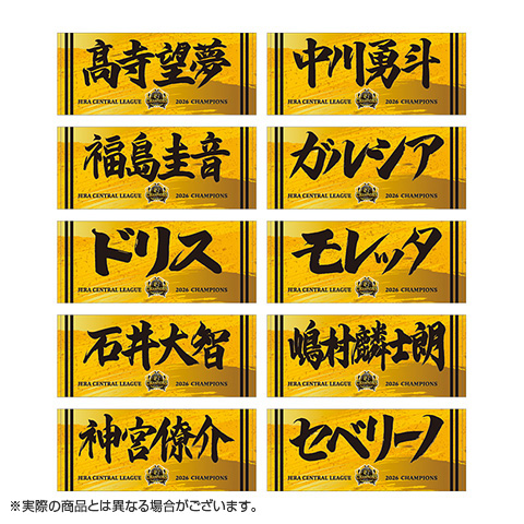 盛岡大附　野球　保護者応援グッズ　新品 ≪受注≫【T-SHOP限定】JERA セ・リーグ 2026優勝記念 選手応援